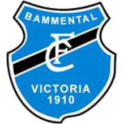 FC Bammental