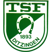 TSF Ditzingen U17