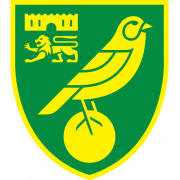 Norwich City Altyapı