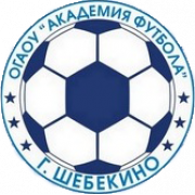 Akademia Football Shebekino