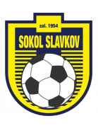TJ Sokol Slavkov (UH)