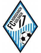FC Rorschach-Goldach 17 Jugend