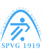 SpVg Dümmlinghausen-Bernberg U19