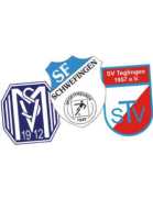 JSG Teglingen/Meppen/Schwefingen U19