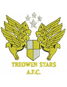 Treowen Stars