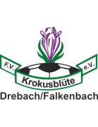 FV Krokusblüte Drebach/Falkenbach