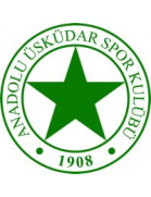 Anadolu Üsküdar Spor
