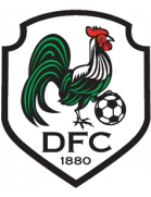 Dorking FC (- 2017)