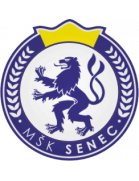 MSK Senec Youth