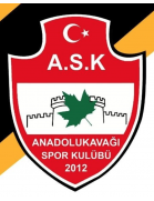 Anadolukavagi Spor