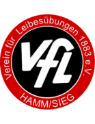 VfL Hamm/Sieg