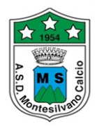 ASD Vis Montesilvano Calcio