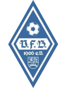 VfB Bodelshausen