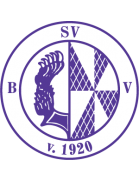 SV Bruchhausen-Vilsen