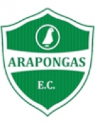 Arapongas Esporte Clube (PR)
