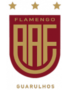 Associação Atlética Flamengo (SP)