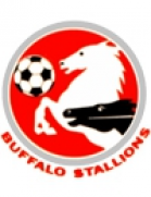Buffalo Stallions