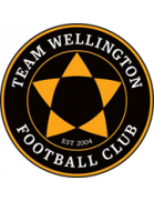 Team Wellington Juvenis