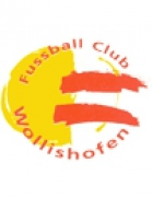 FC Wollishofen