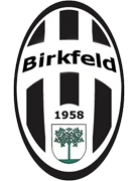 Union Birkfeld Jugend (-2022)