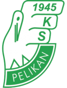 Pelikan Lowicz U19