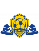 FK Babrungas Plunge