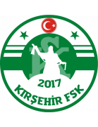 Kirsehir Futbol Spor Kulübü Formation