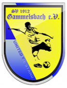 SV Gammelsbach