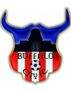 Buffalo City (NPSL)
