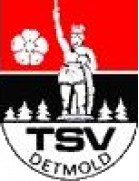 TSV Detmold (- 2015)