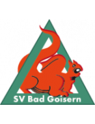 SV Bad Goisern II