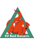 SV Bad Goisern Altyapı