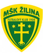 MSK Zilina Formation