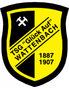 TSG Wattenbach U19
