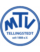 MTV Tellingstedt Youth