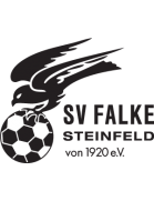 SV Falke Steinfeld II