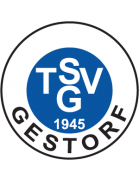 TSV Gestorf