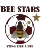 EC Bees FC