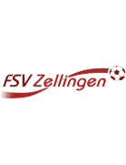 FSV Zellingen/Main