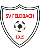 SV Feldbach Молодёжь