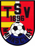 TSV Mainaschaff Formation