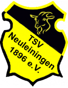 TSV Neuleiningen Formation