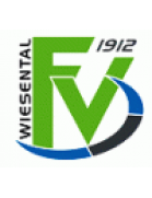 FV 1912 Wiesental U19