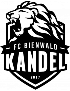 FC Bienwald Kandel U19