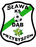 Dab Przybyszow U19