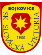 SK Slovacka Viktoria Bojkovice
