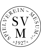 SV Mesum U19