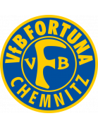 VfB Fortuna Chemnitz Altyapı