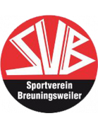 SV Breuningsweiler II