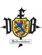 VfB Fallersleben U17